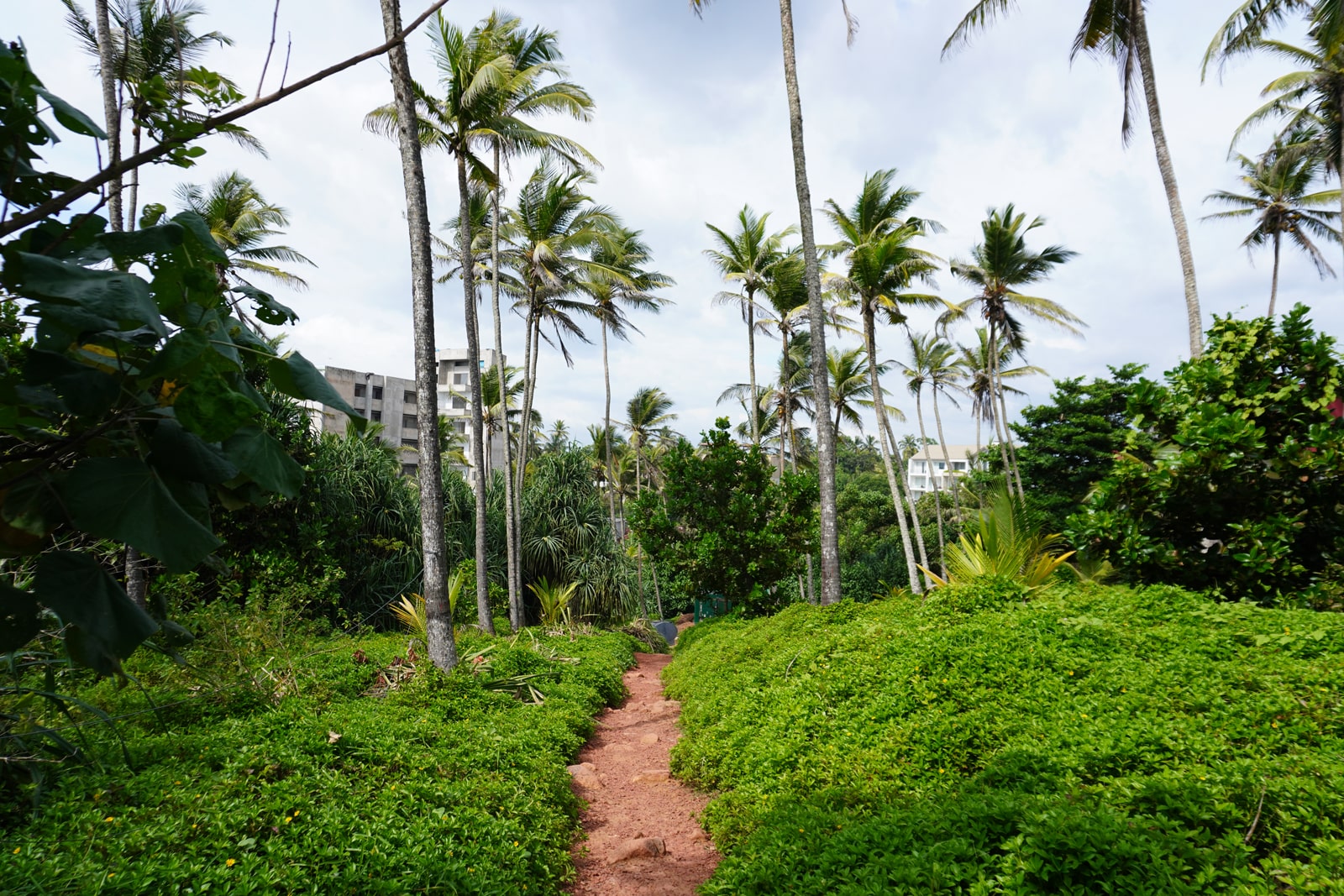 sri lanka 06