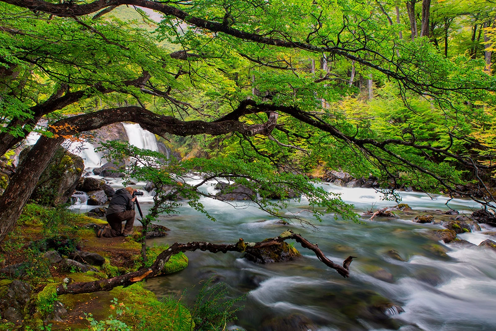 best times for nature photography