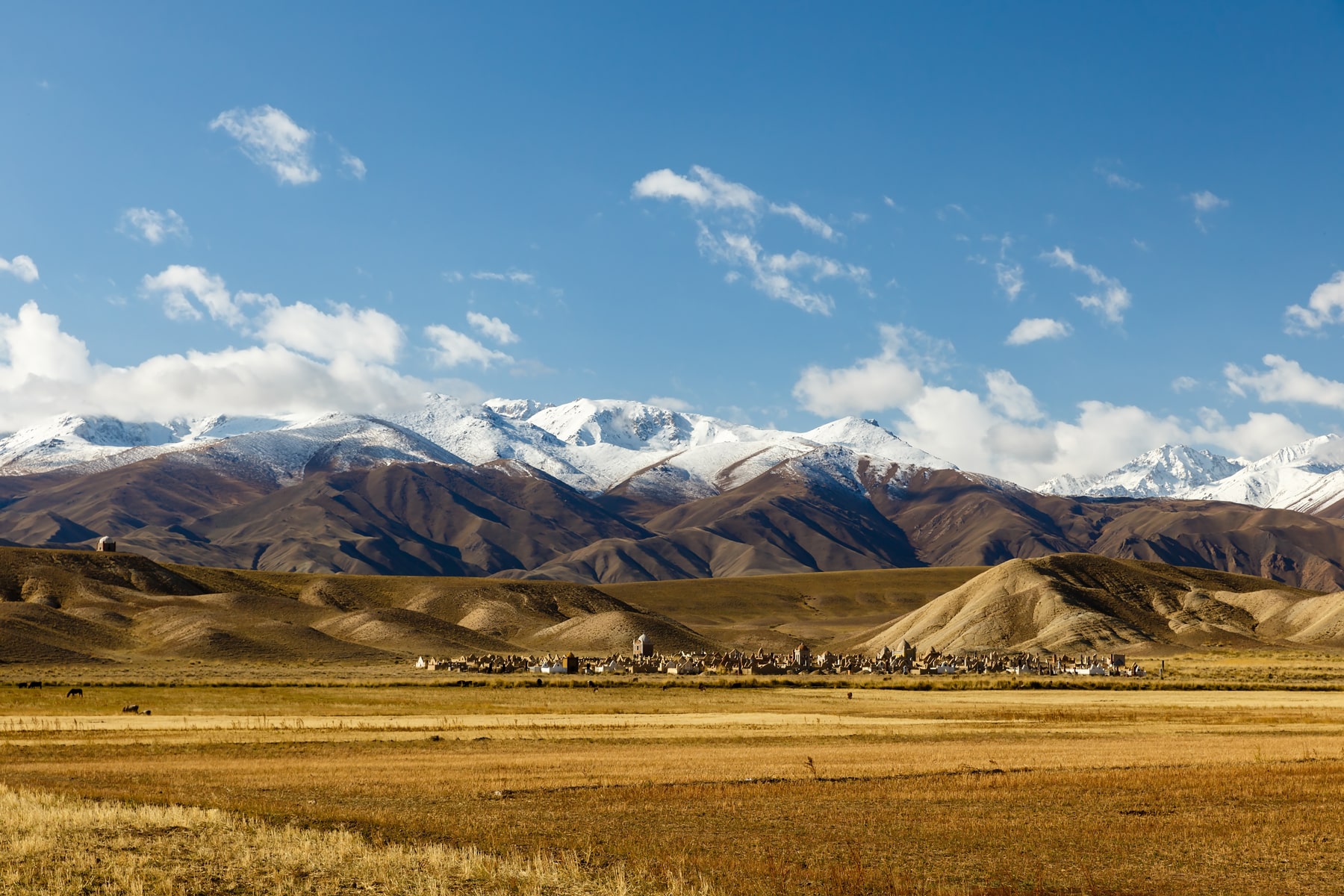 سفری به قلب طبیعت وحشی قرقیزستان با سانا؛ درهها، اسبها و آسمان پرستاره 2 travelogue kyrgyzstan 01