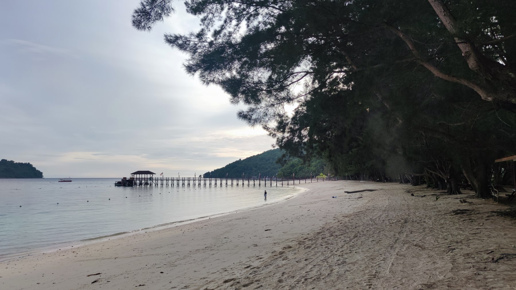 سفر به قلب مالزی با سانا؛ ترکیبی از مدرنیته، طبیعت و فرهنگ ناب 2 travelogue malaysia 06