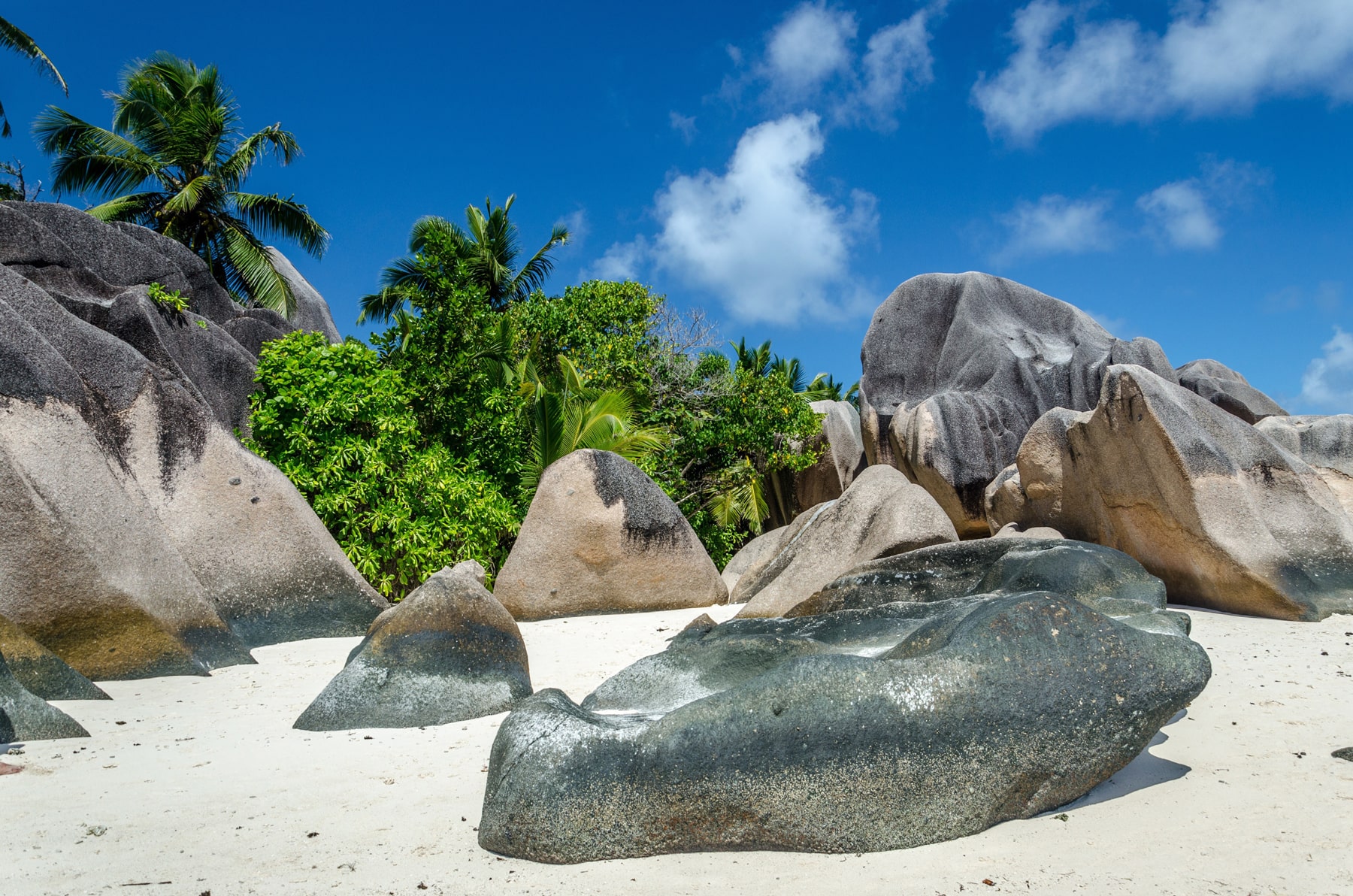 سفر به سیشل با سانا؛ لمس بهشت واقعی در دل اقیانوس هند 9 travelogue seychelles 09