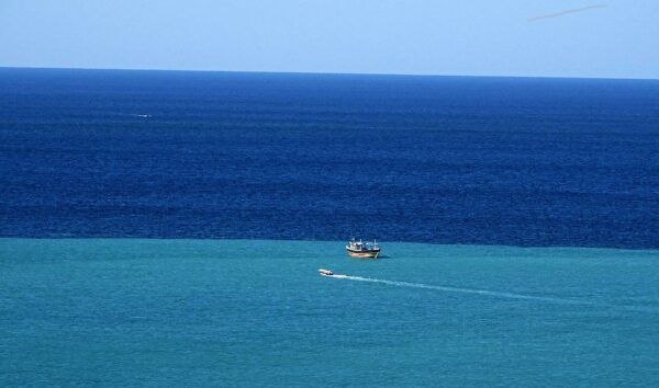 تور ویژه جنوبگردی در زیبایی های میناب