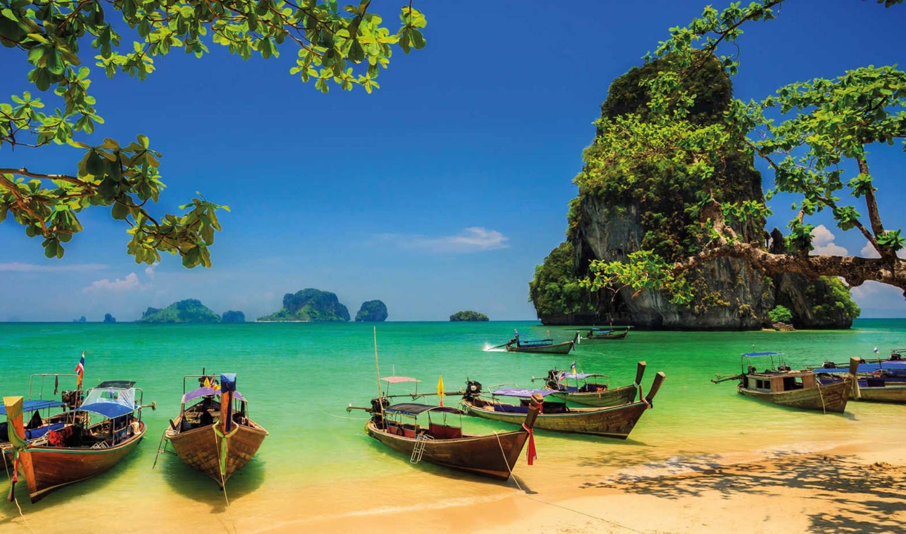 tour of samui cambodia