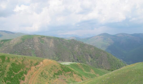 تور ویژه پیمایش جنگلی تارزوچو به پونل