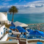 تور ویژه تونس