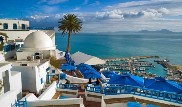 تور ویژه تونس