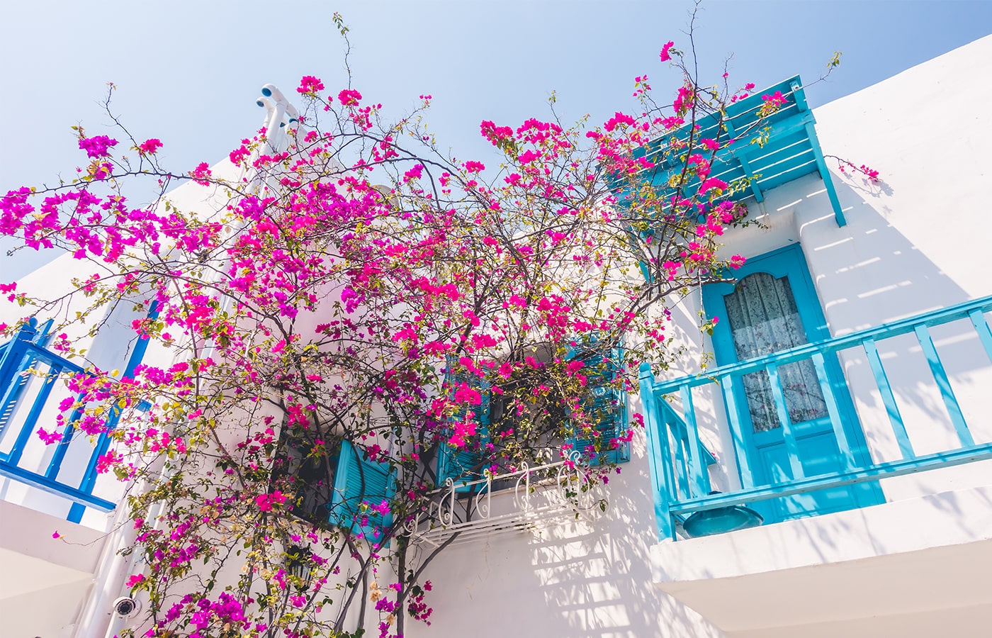 tunisia-foreign-tour-02