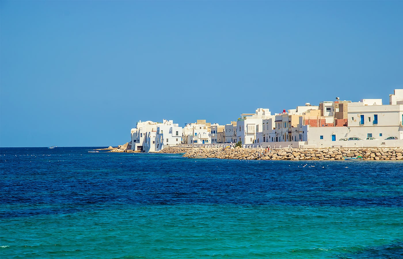 tunisia-foreign-tour-05