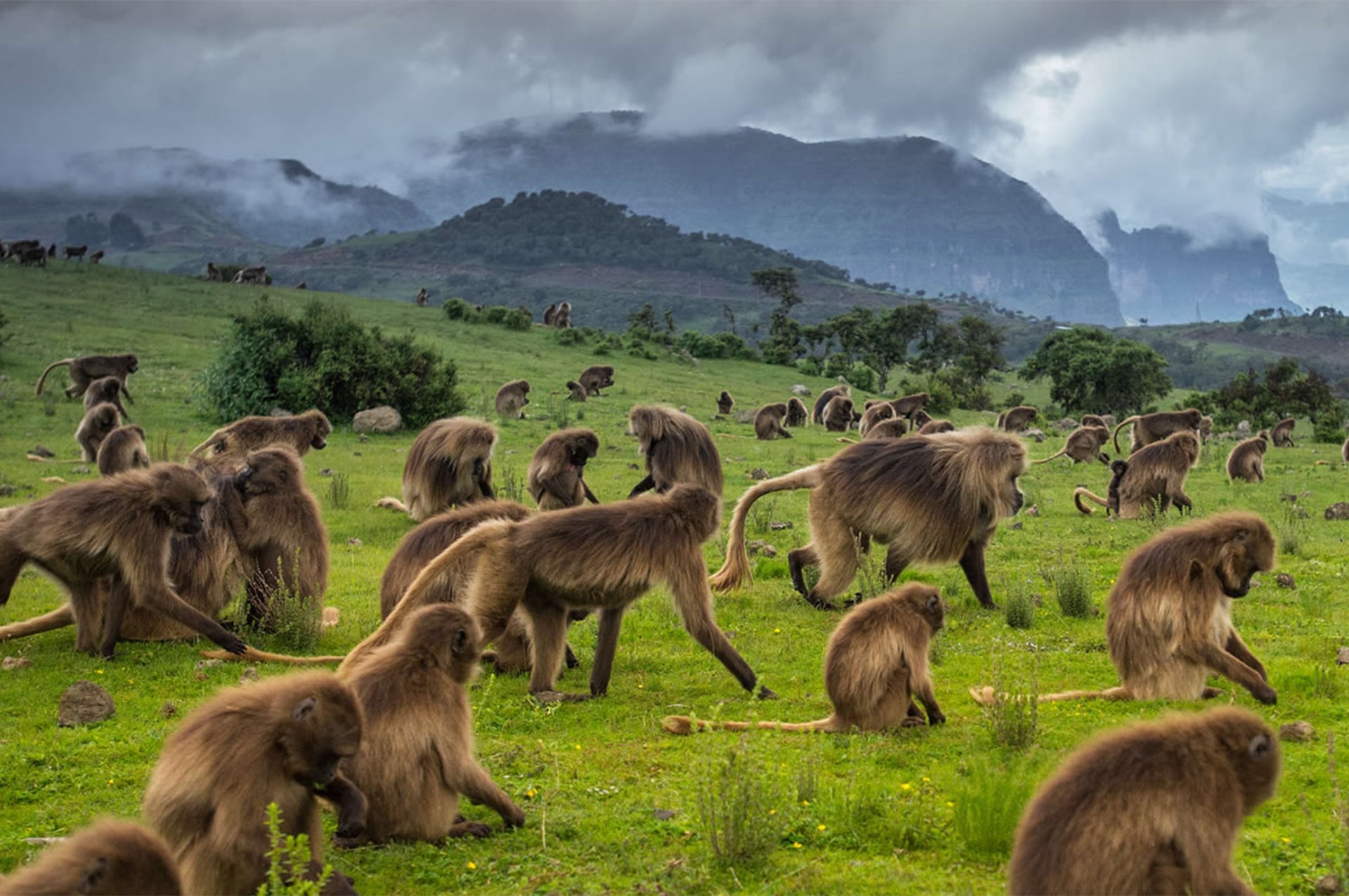 attractions-ethiopia-04