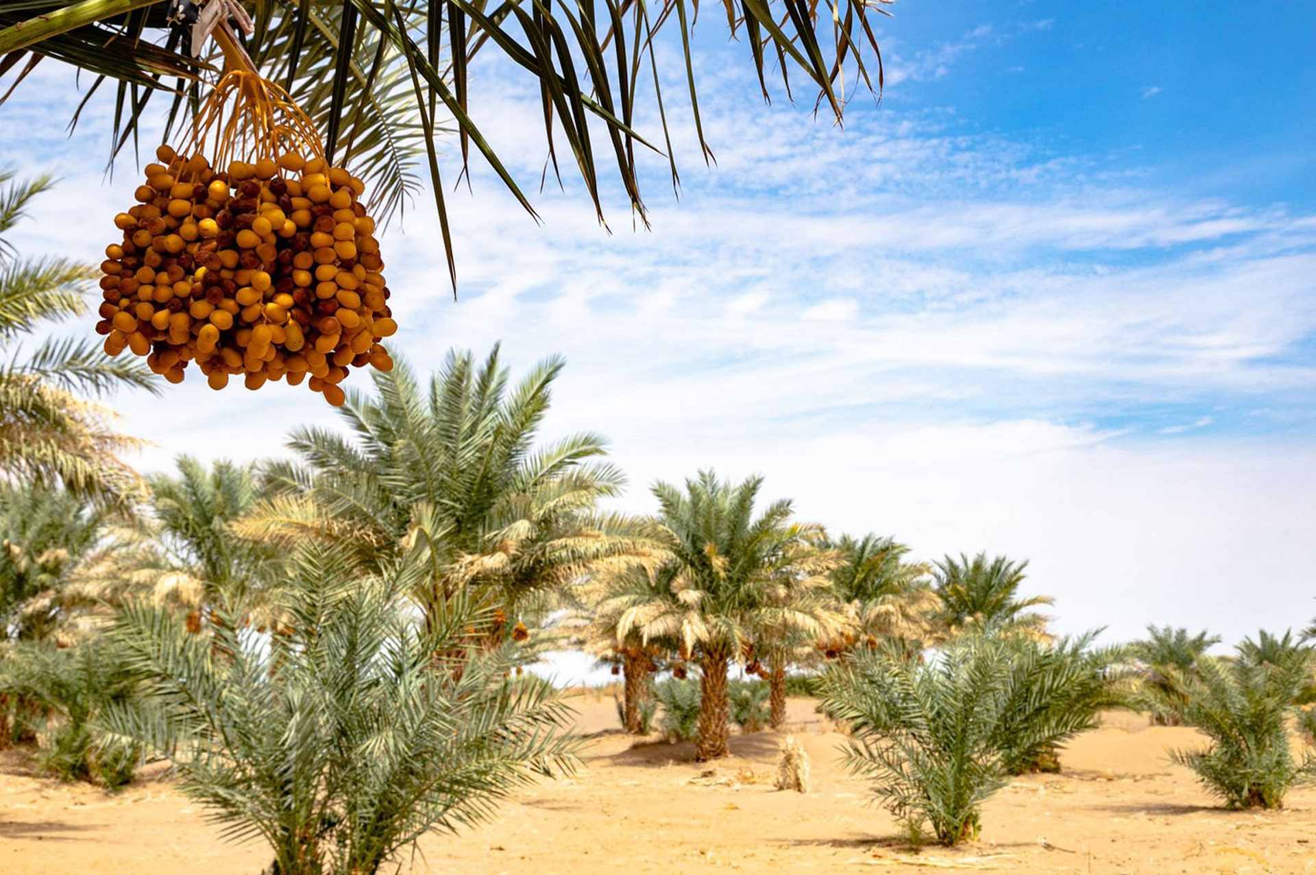 attractions-kashan-kavir-05