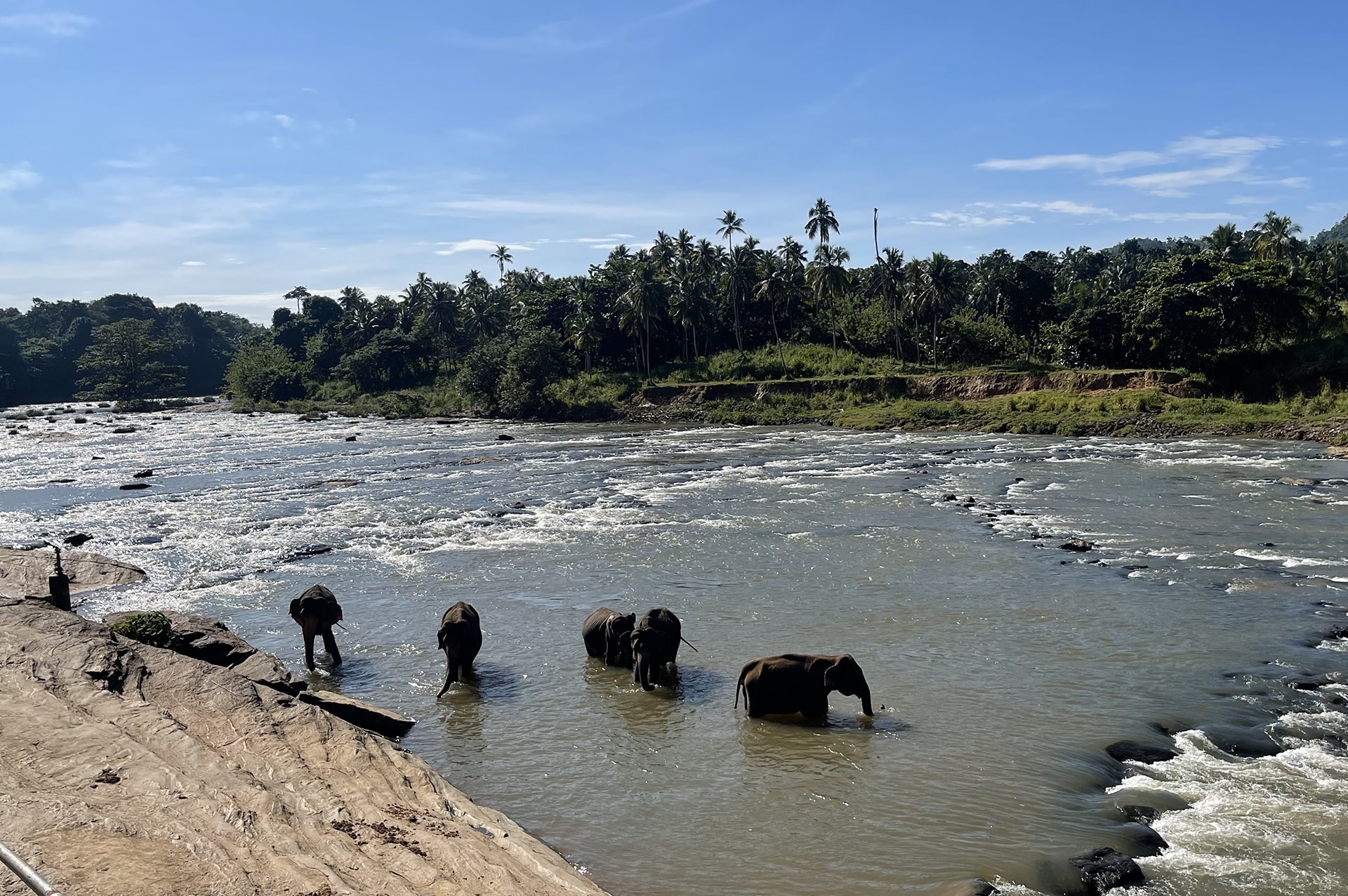 attractions-sri-lanka-03