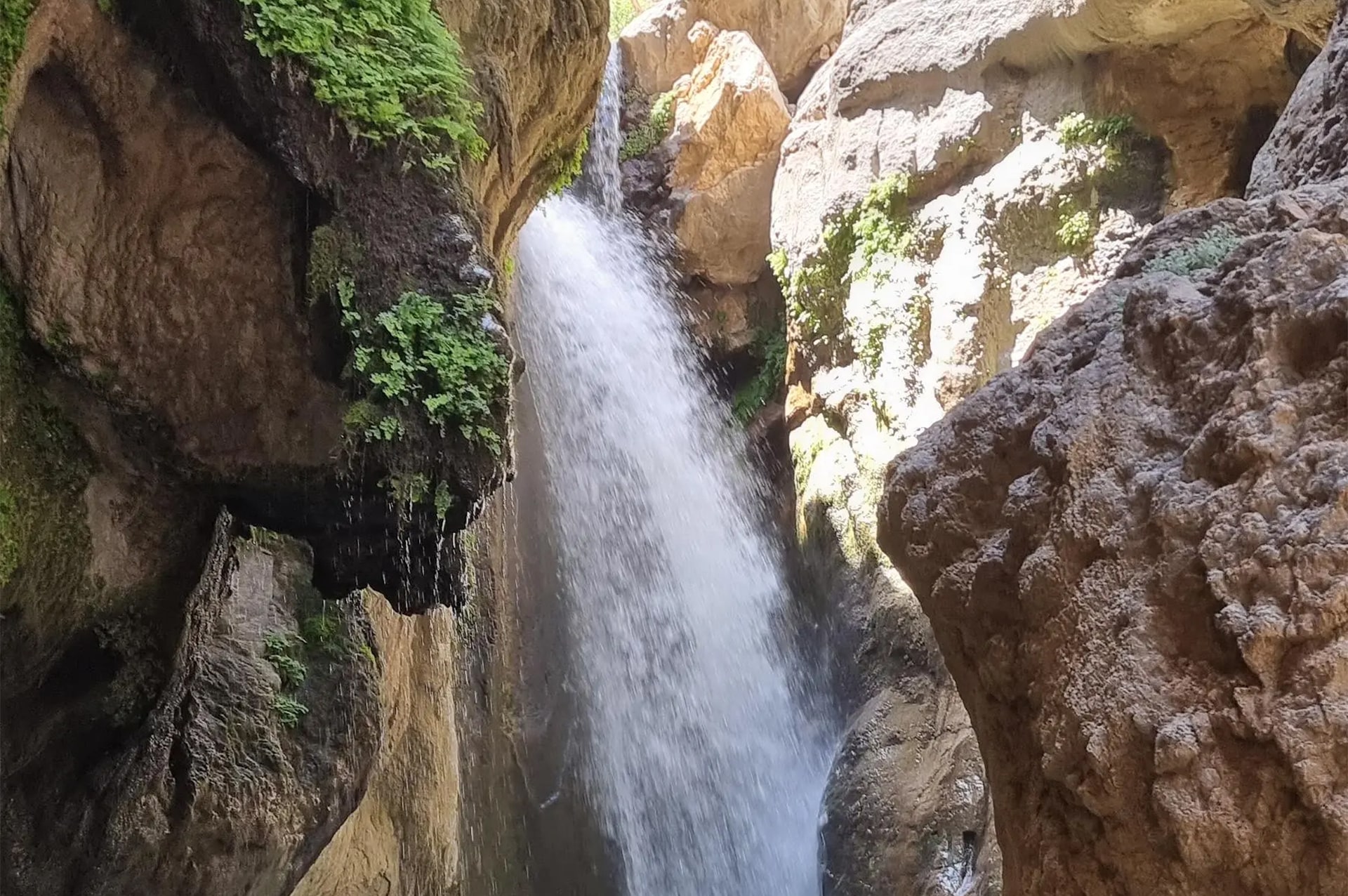 attractions-tamoradi-02
