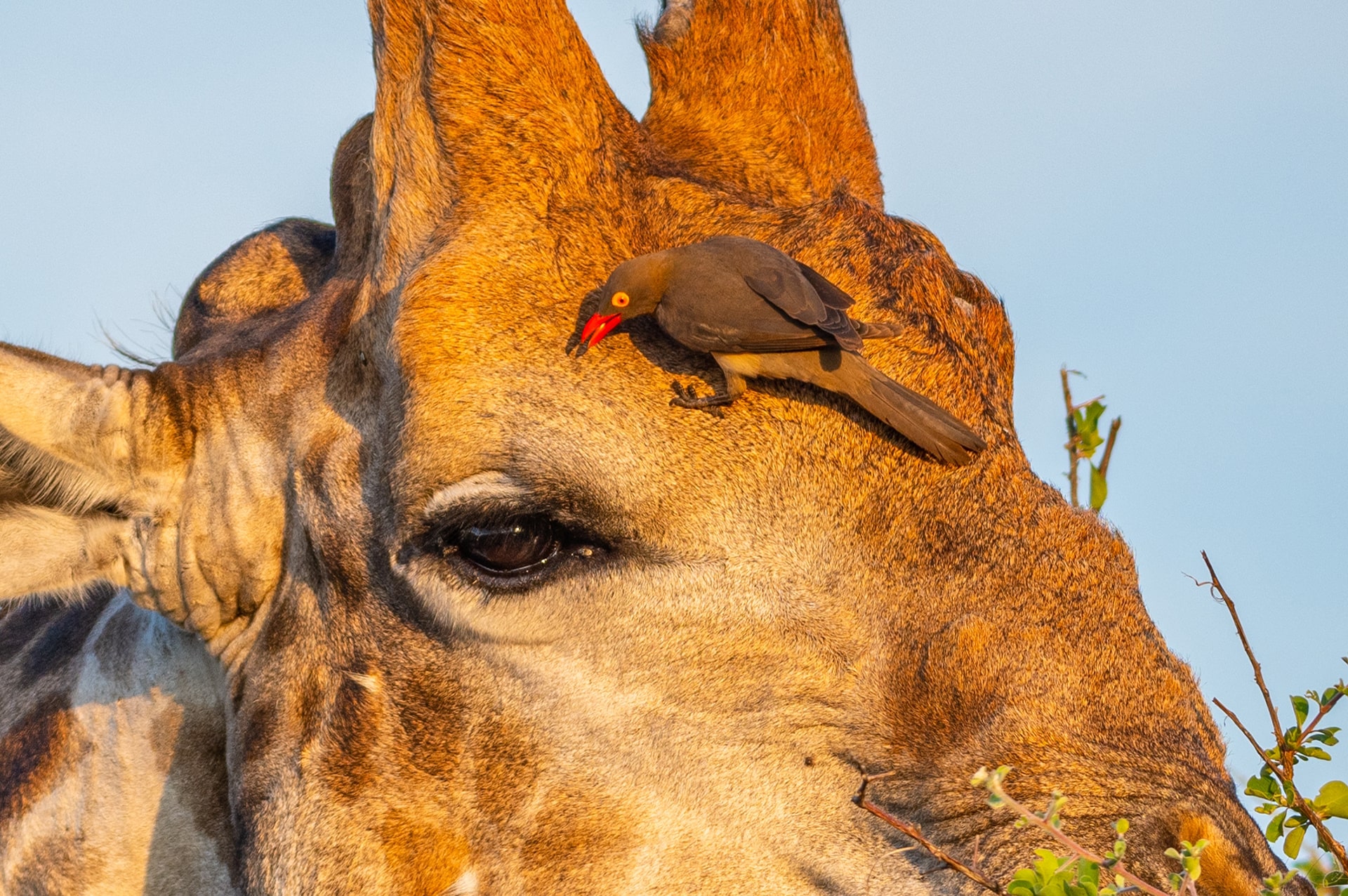 best-time-ethiopia-04