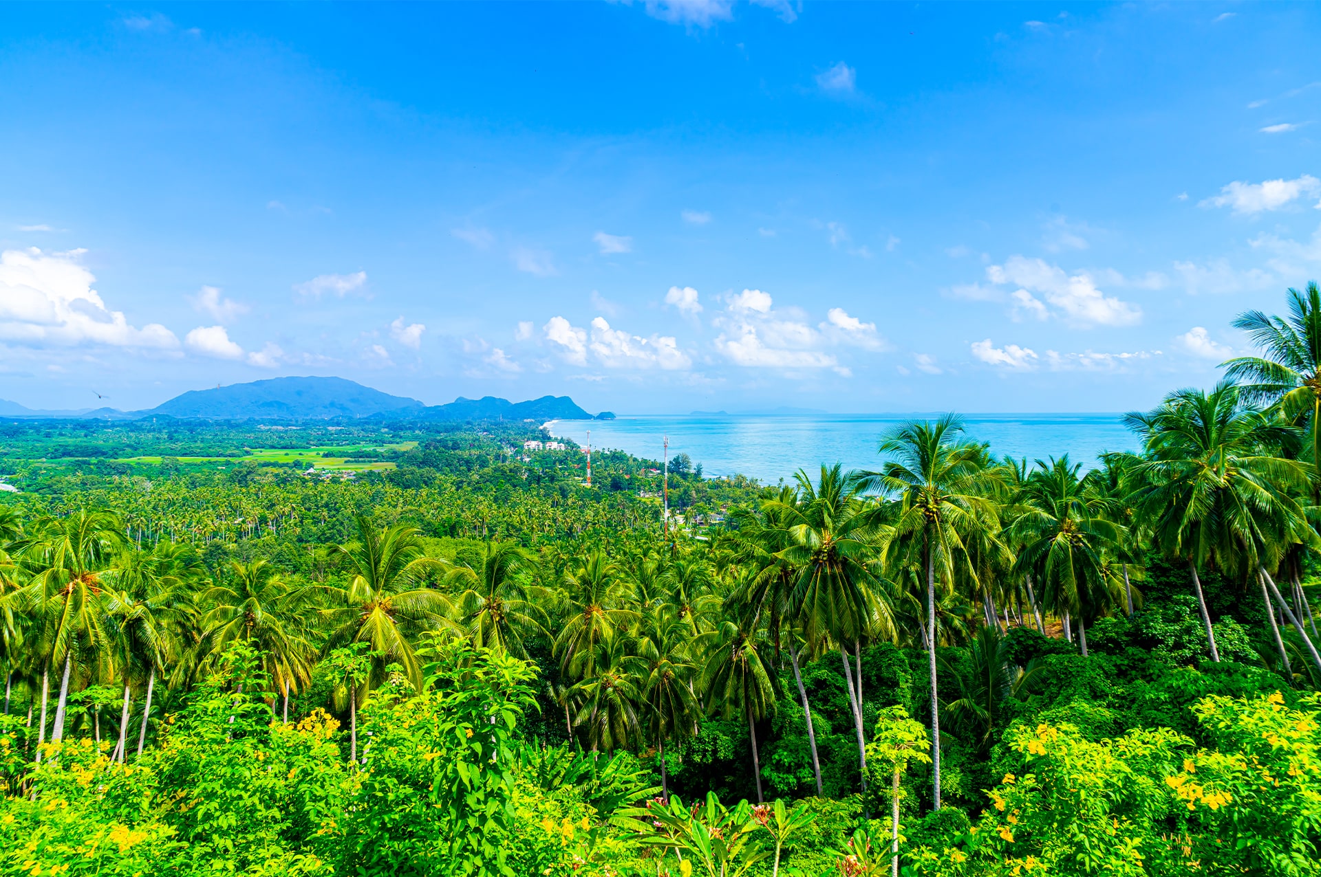 تور تایلند 26 best-time-thailand-01