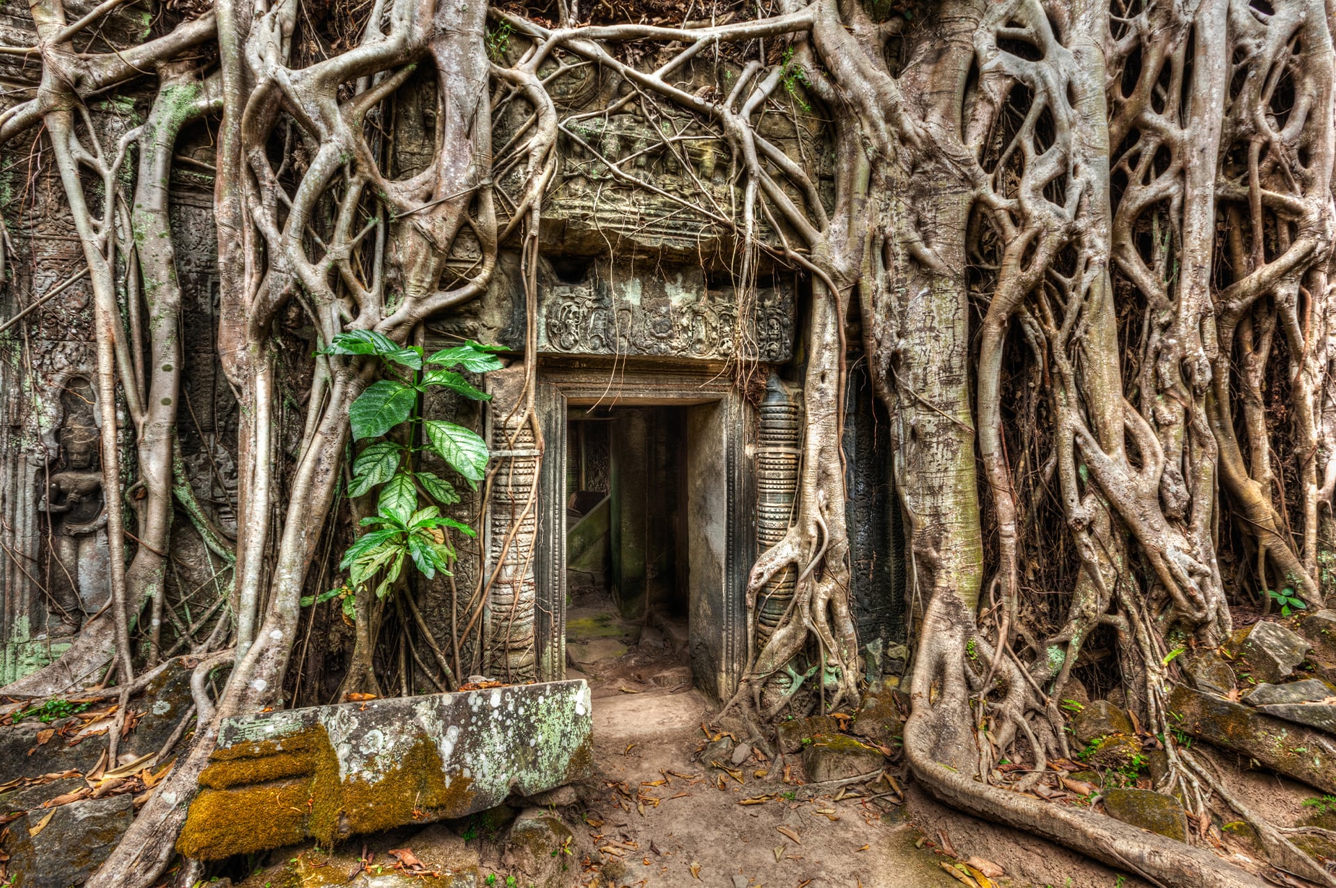 how-to-go-cambodia-04