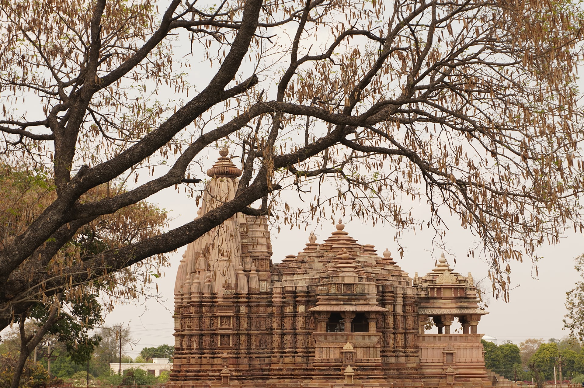 تور هند 25 how-to-go-india-07