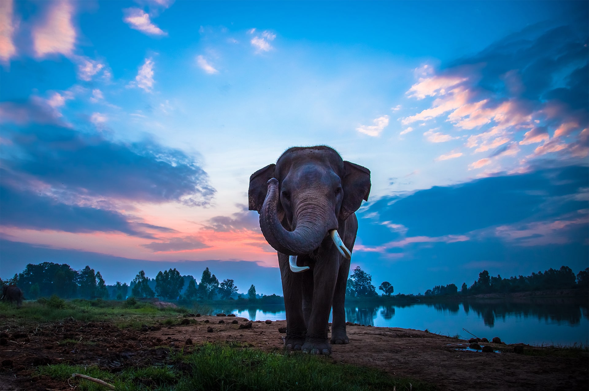تور سامویی 20 how-to-go-samui-01