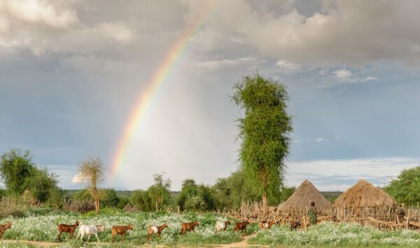 تور ویژه اتیوپی، قبایل جنوب