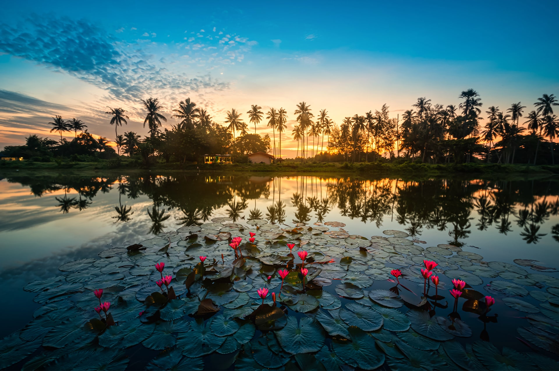 تور ایندوچاینا 19 where-indochina-05