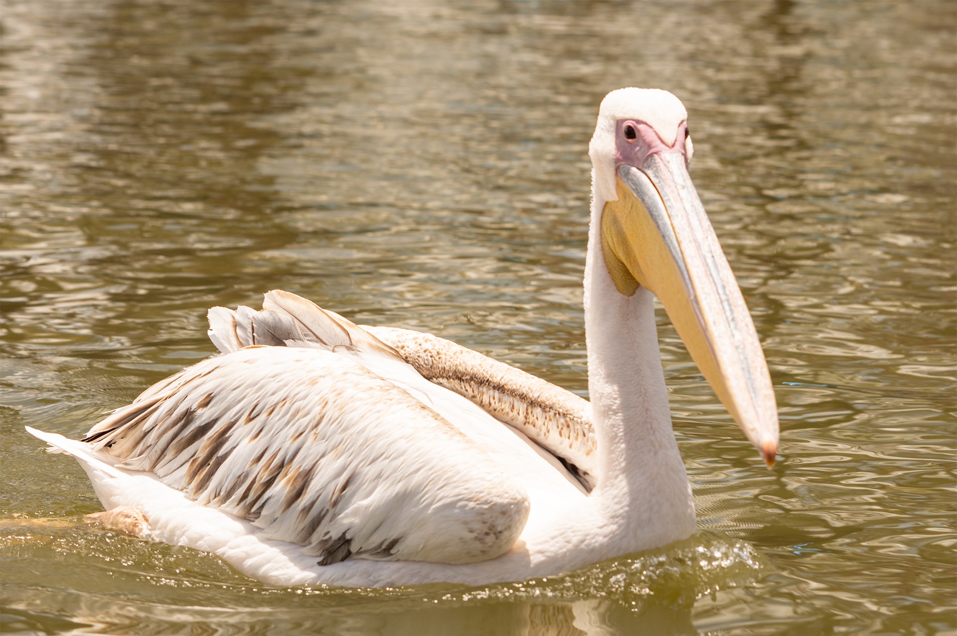 attractions-kenya-02