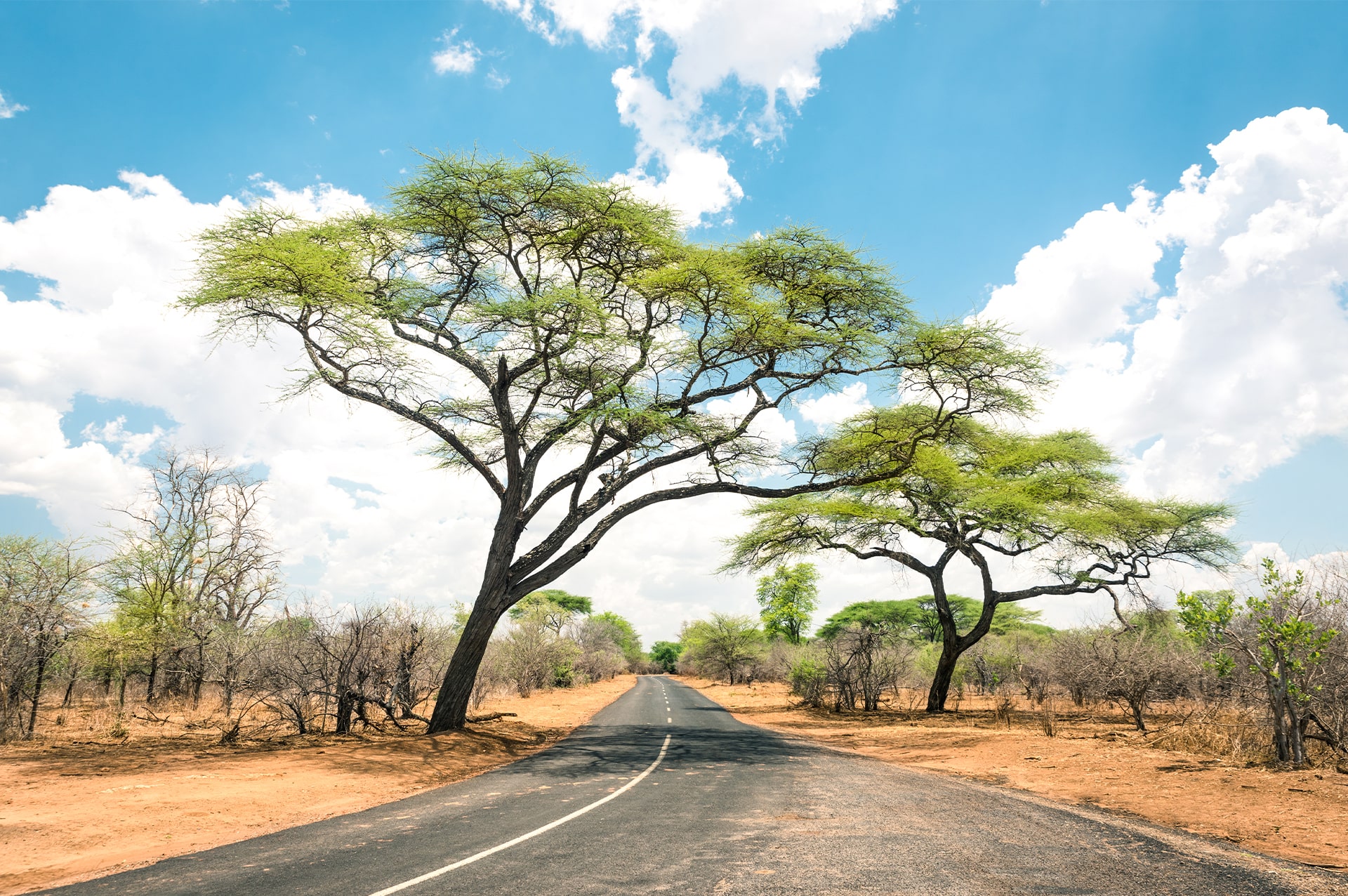 attractions-kenya-04