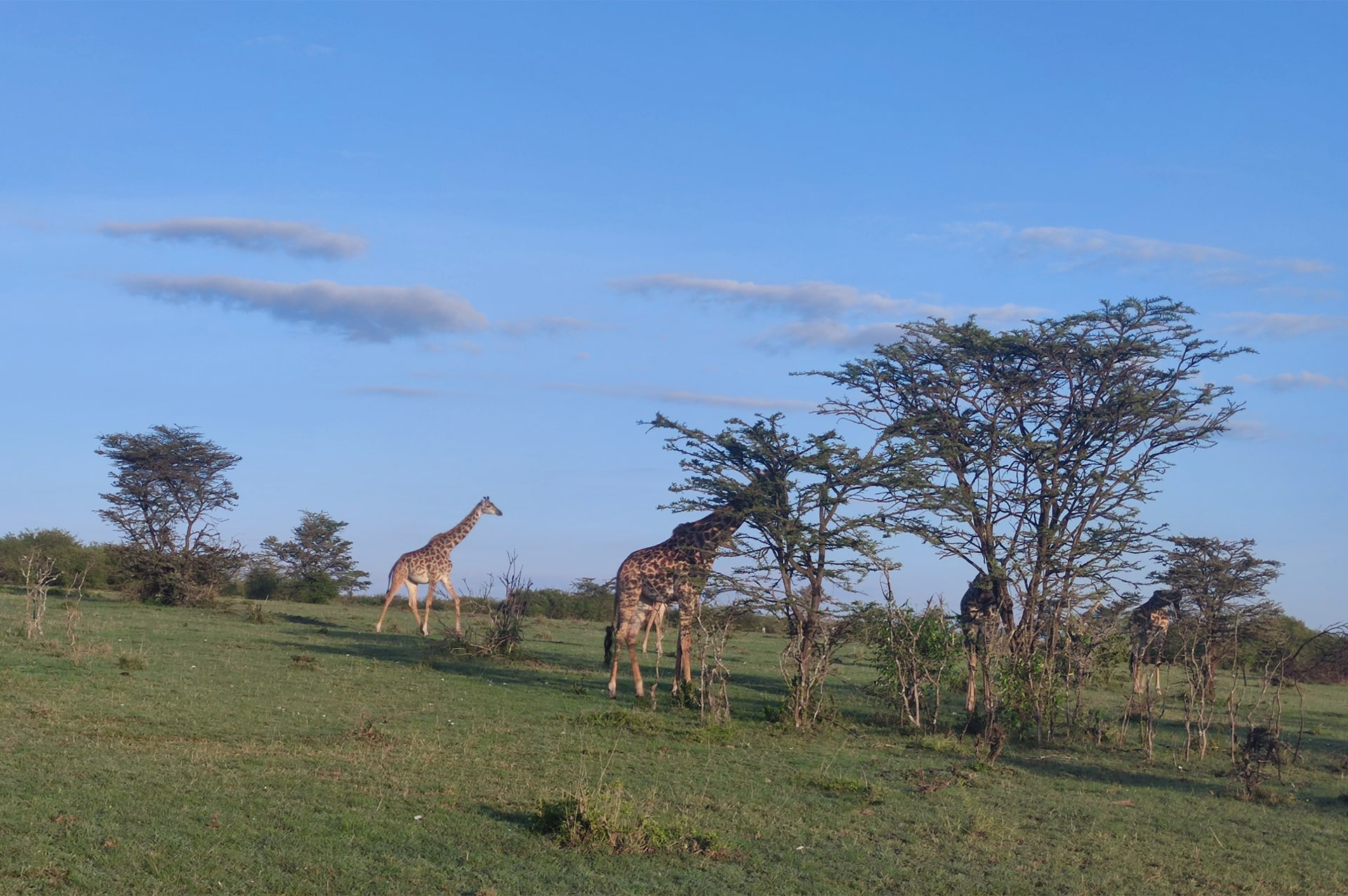 attractions-kenya-10