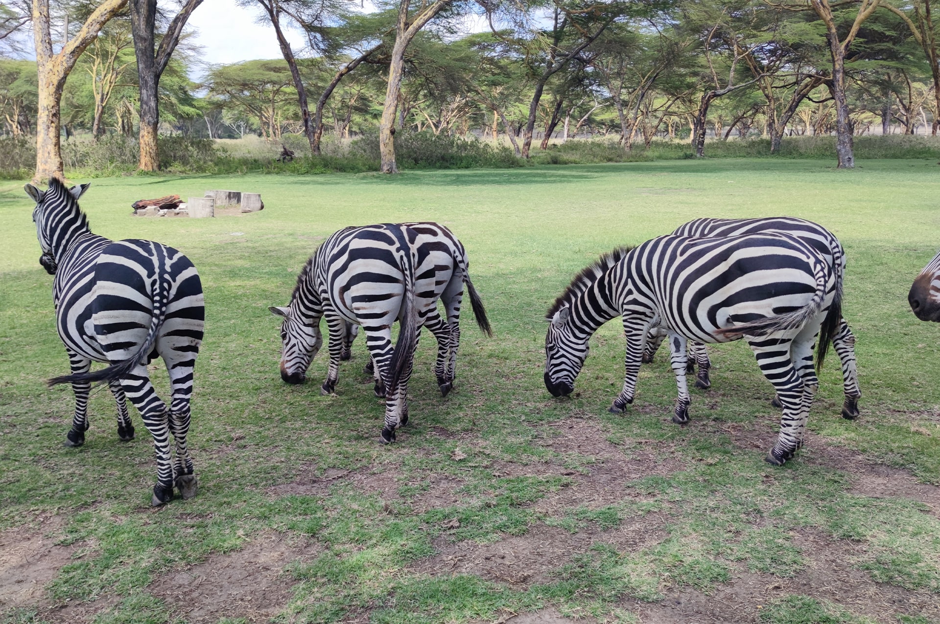 attractions-kenya-11
