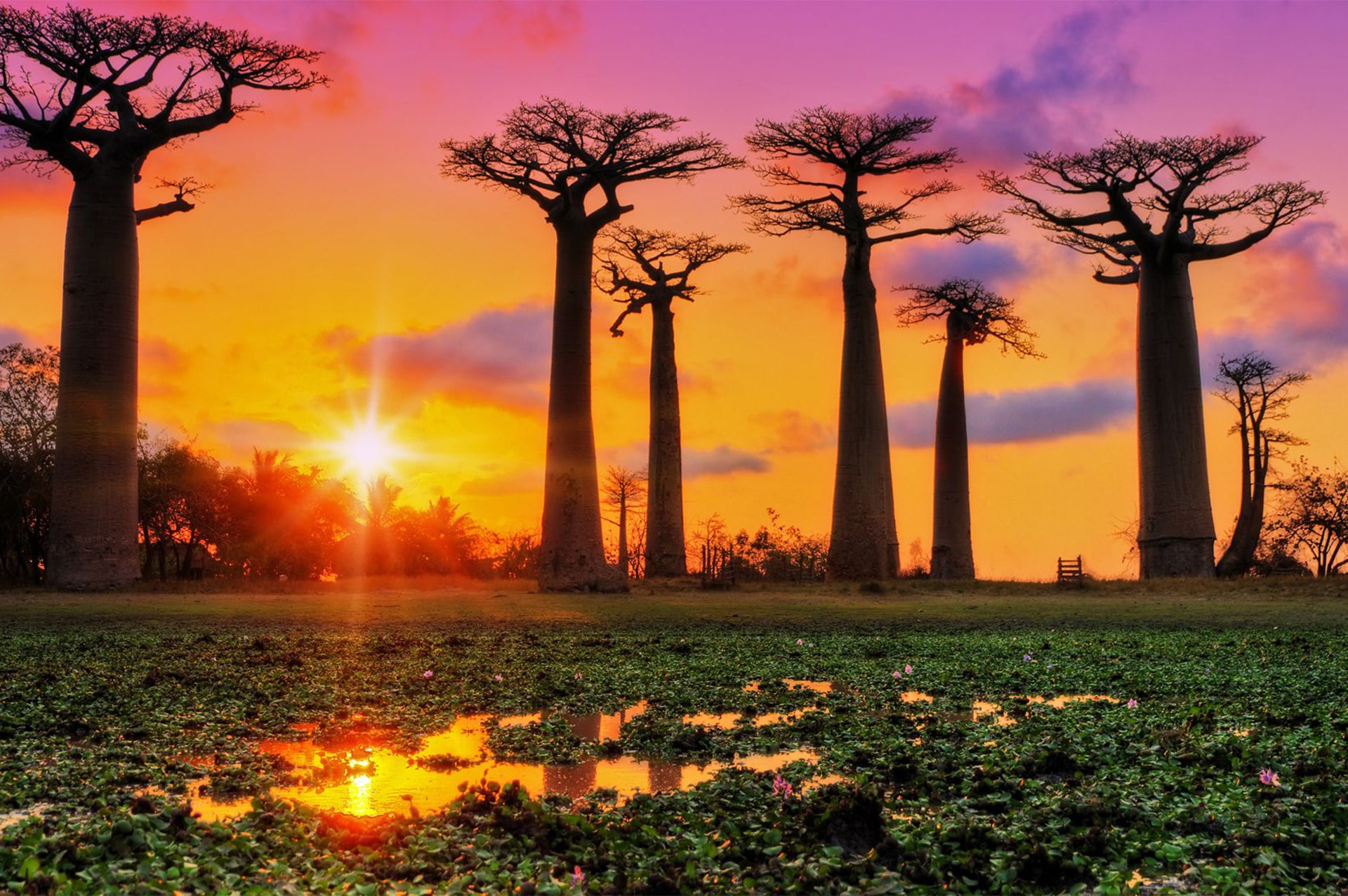 تور ماداگاسکار 36 attractions-madagascar-03
