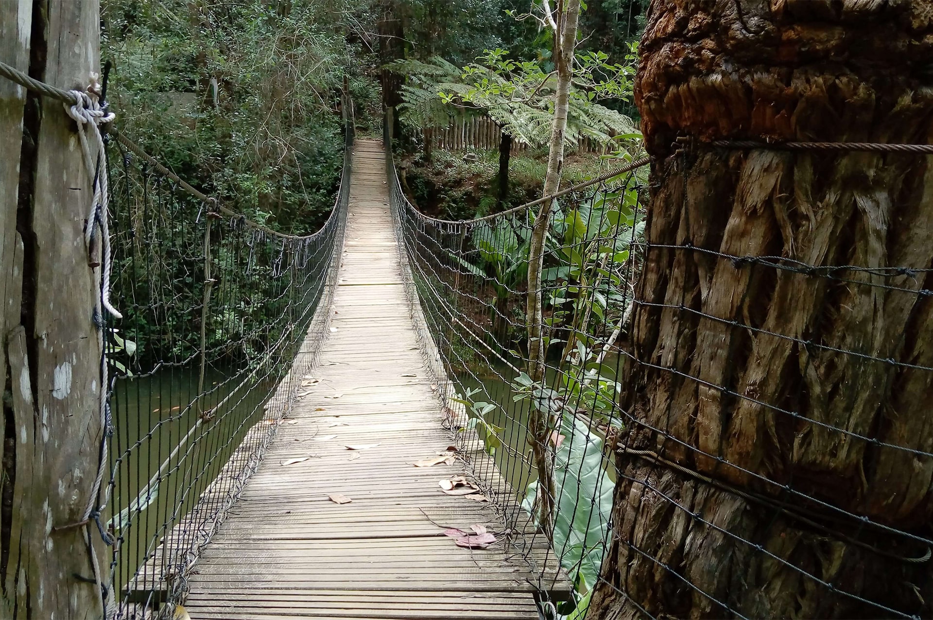 تور ماداگاسکار 40 attractions-madagascar-07