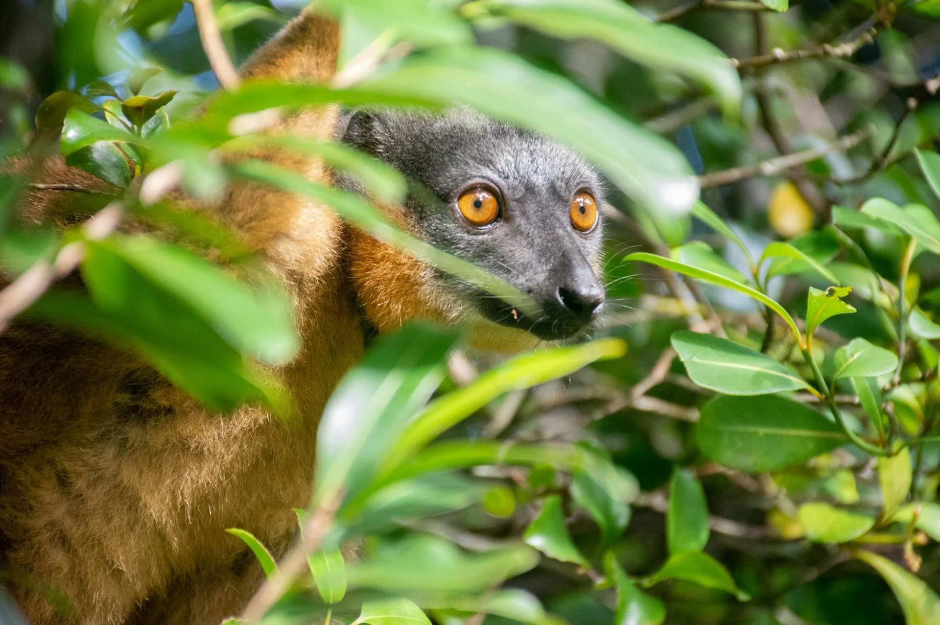 تور ماداگاسکار 41 attractions-madagascar-08