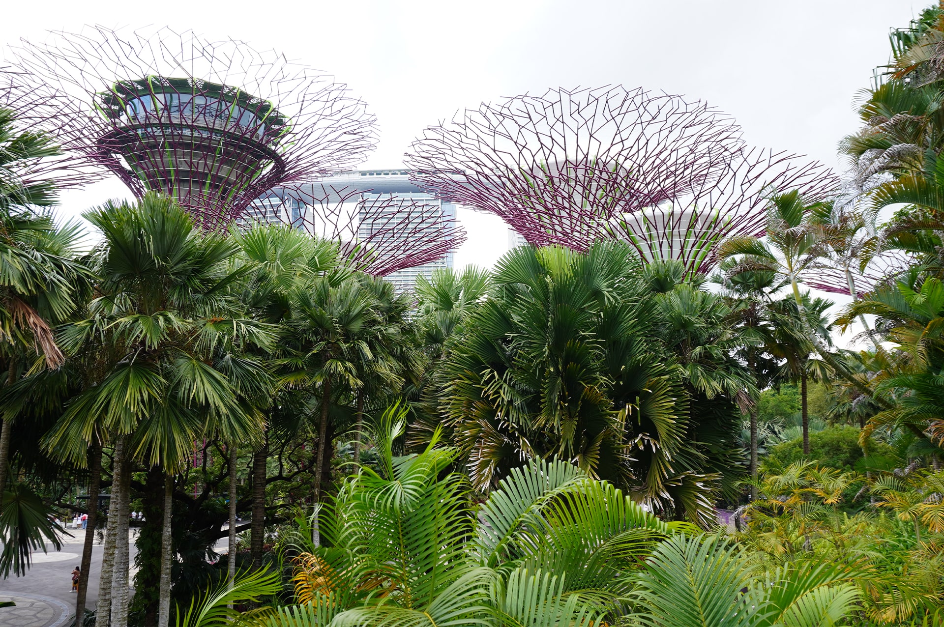 تور سنگاپور 38 attractions-singapore-04