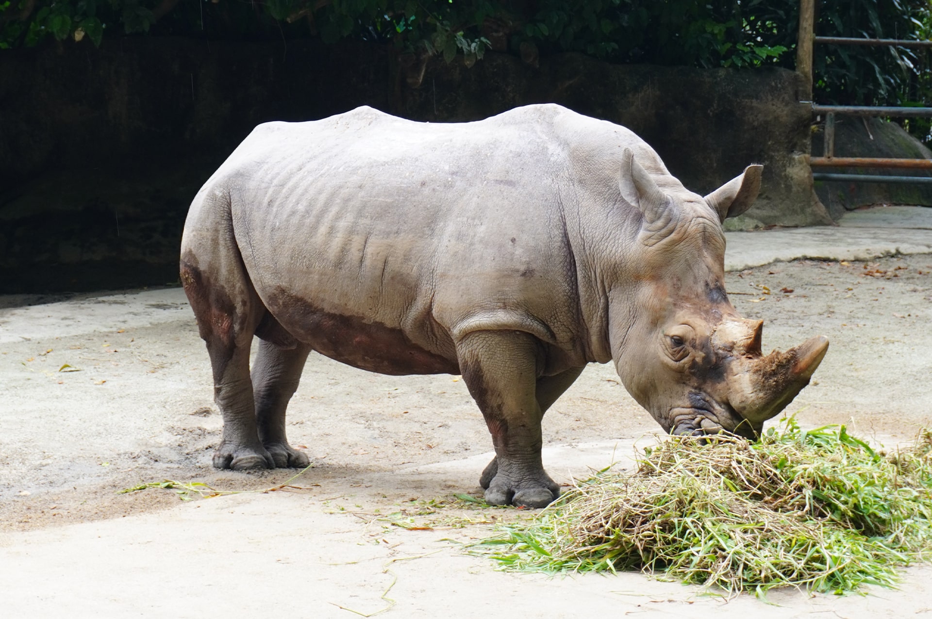 تور سنگاپور 39 attractions-singapore-05