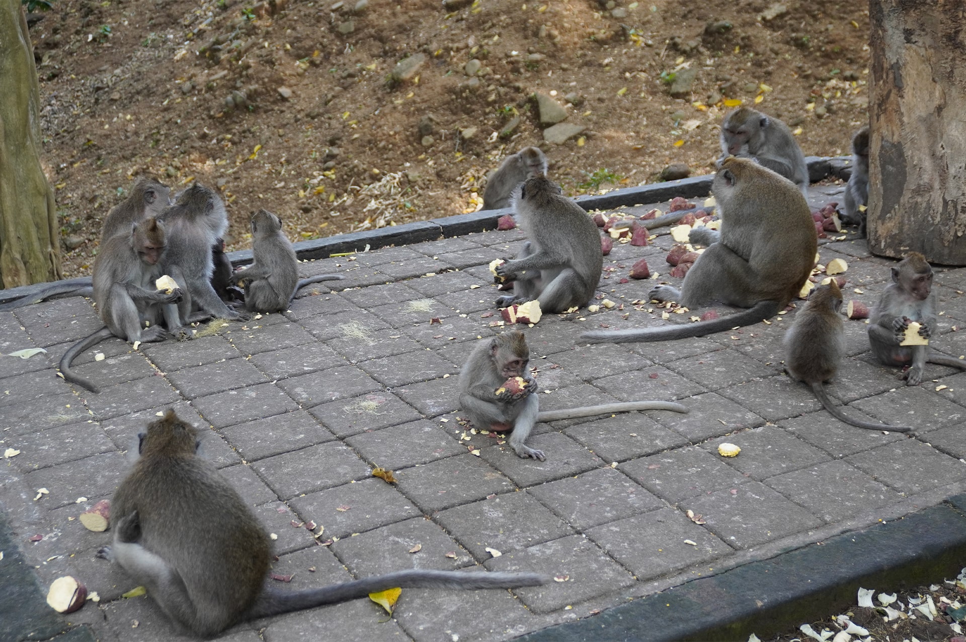 تور اندونزی 46 best-time-indonesia-06