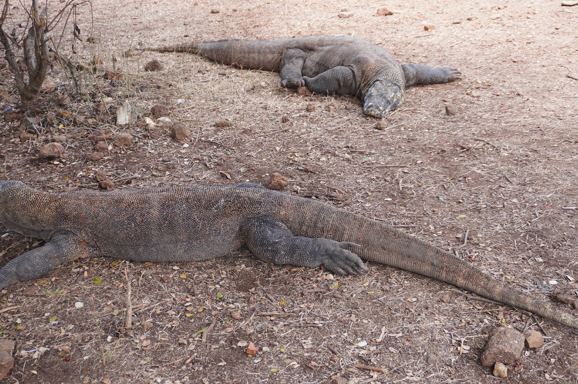 تور اندونزی 52 best-time-indonesia-12