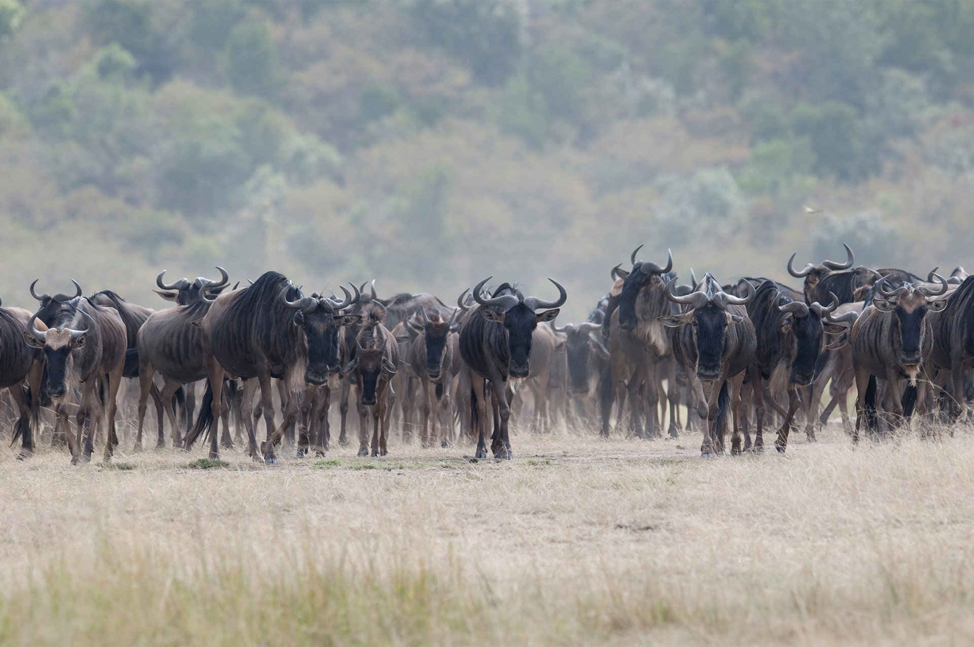 best-time-kenya-02