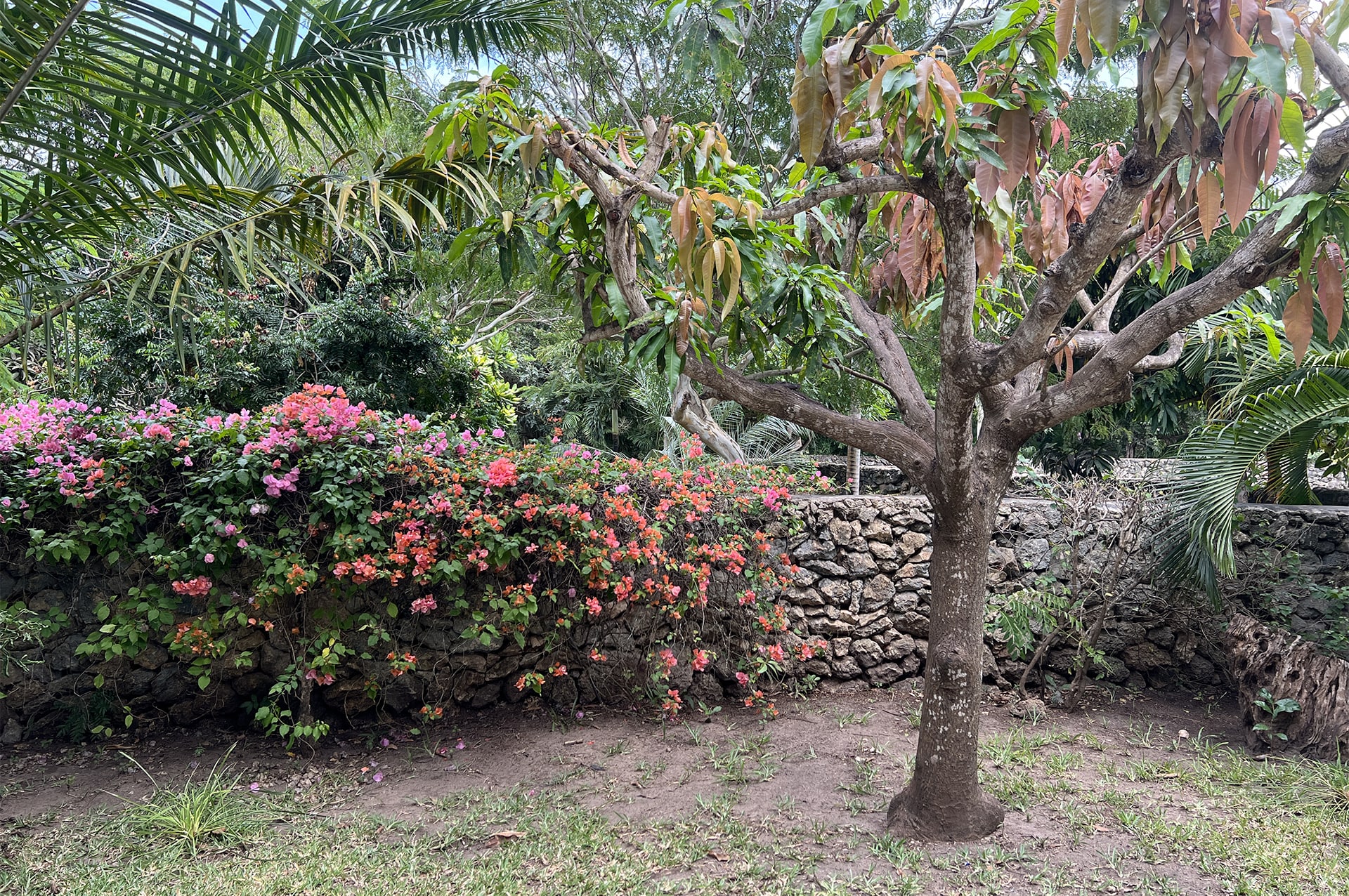 best-time-kenya-05