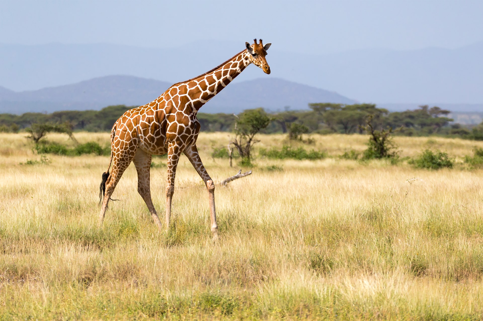 best-time-kenya-07