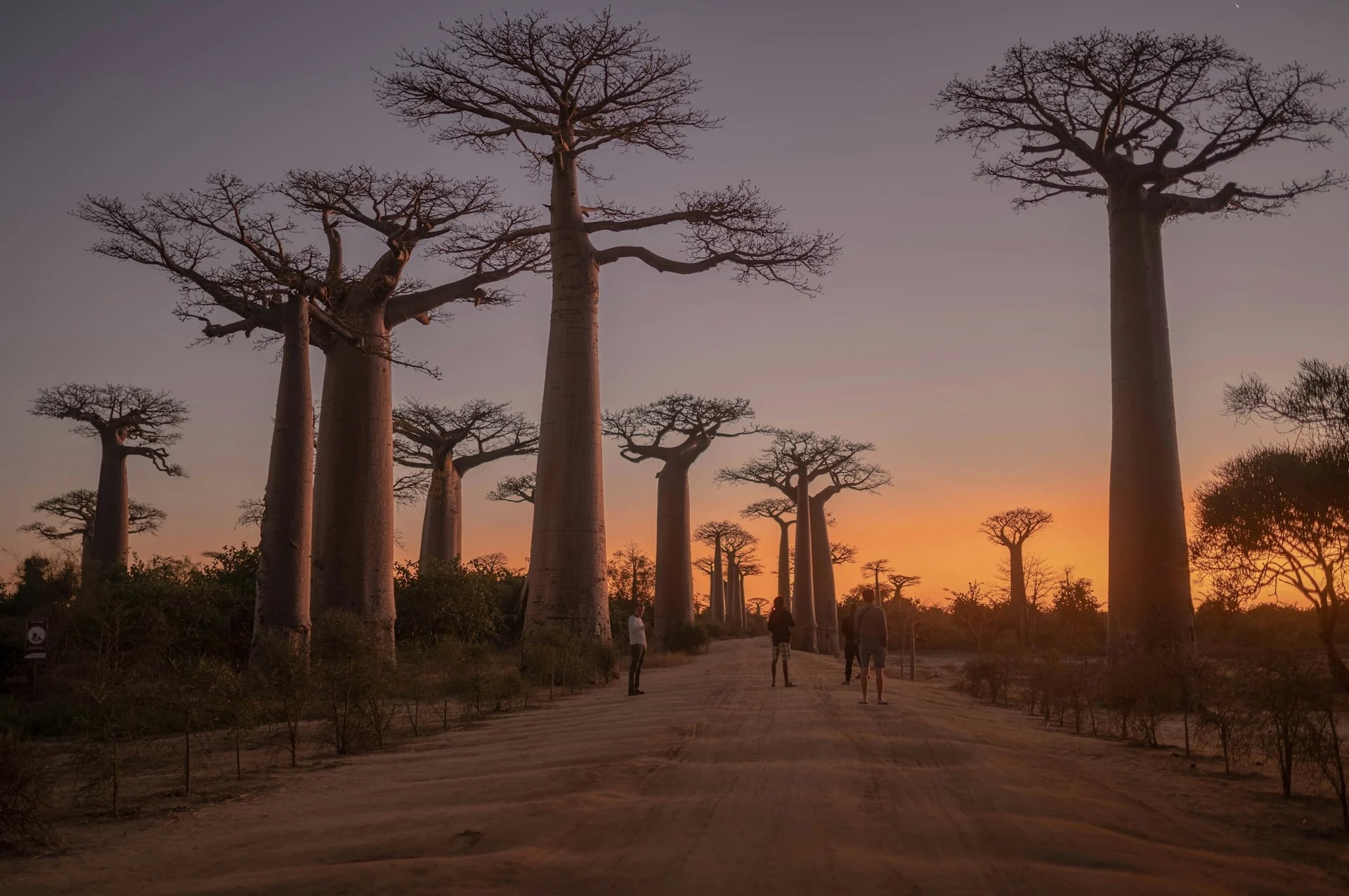 تور ماداگاسکار 25 best-time-madagascar-01