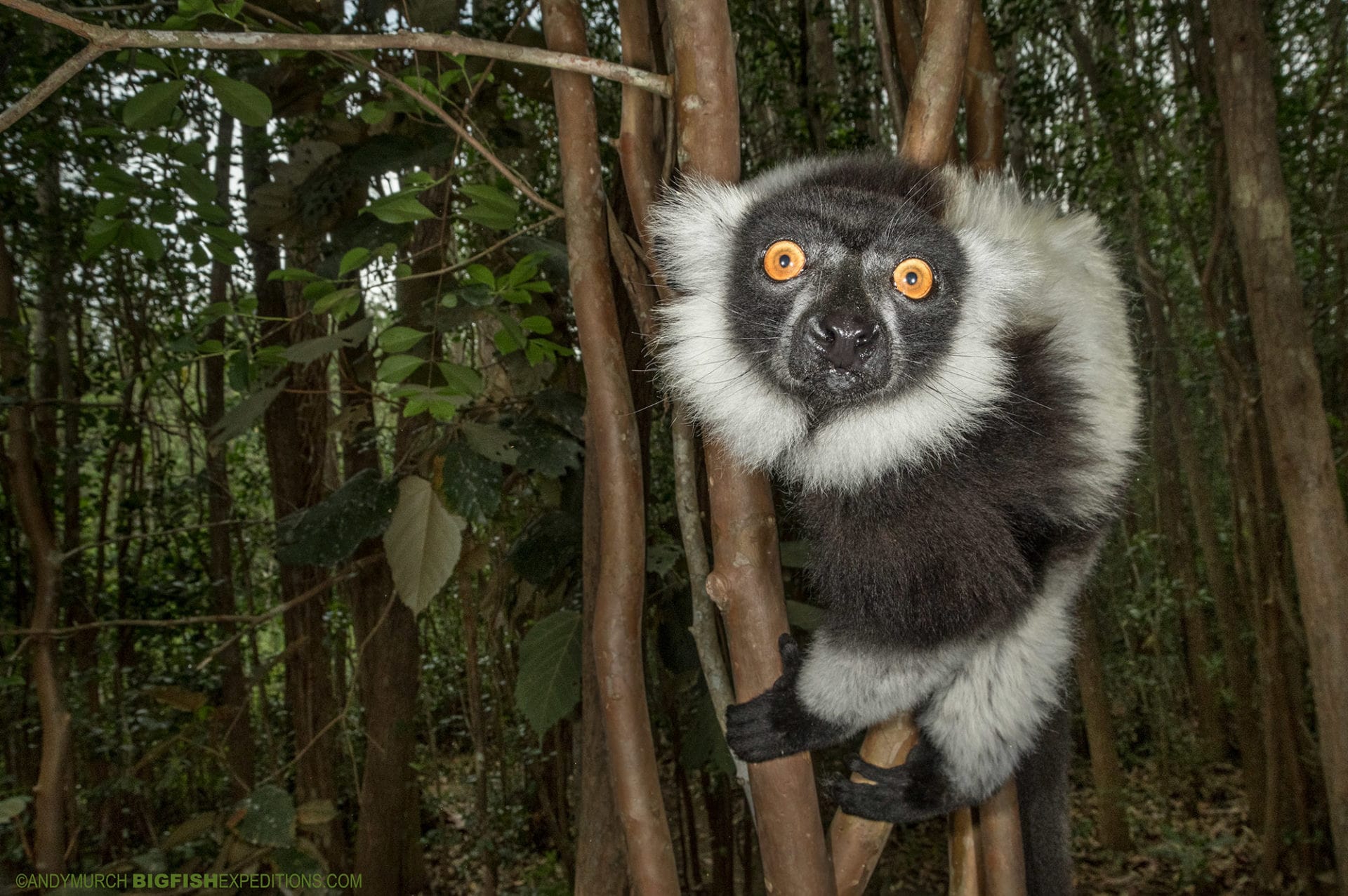 تور ماداگاسکار 33 best-time-madagascar-09