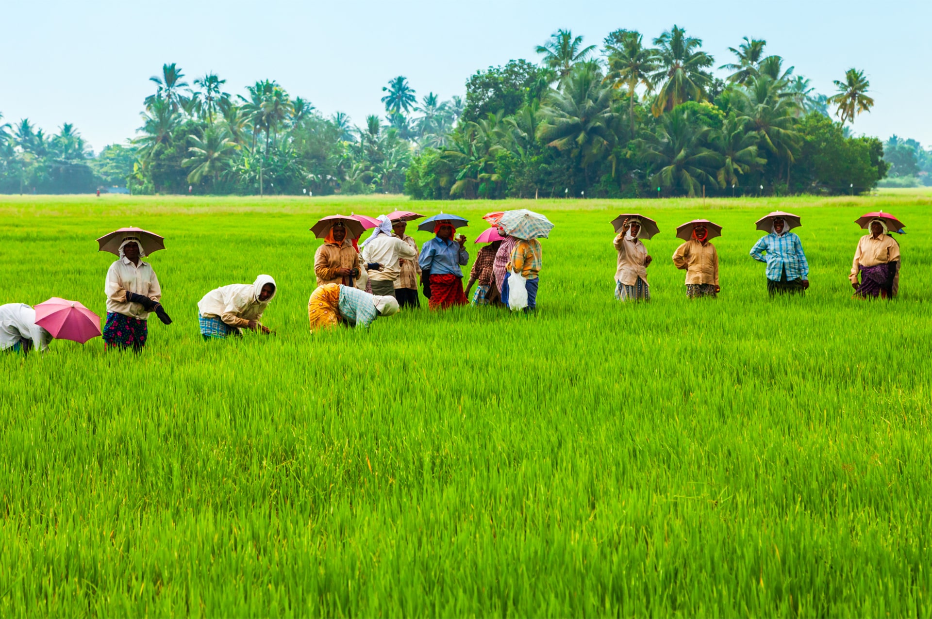 تور مالزی 59 festivals-malaysia-01