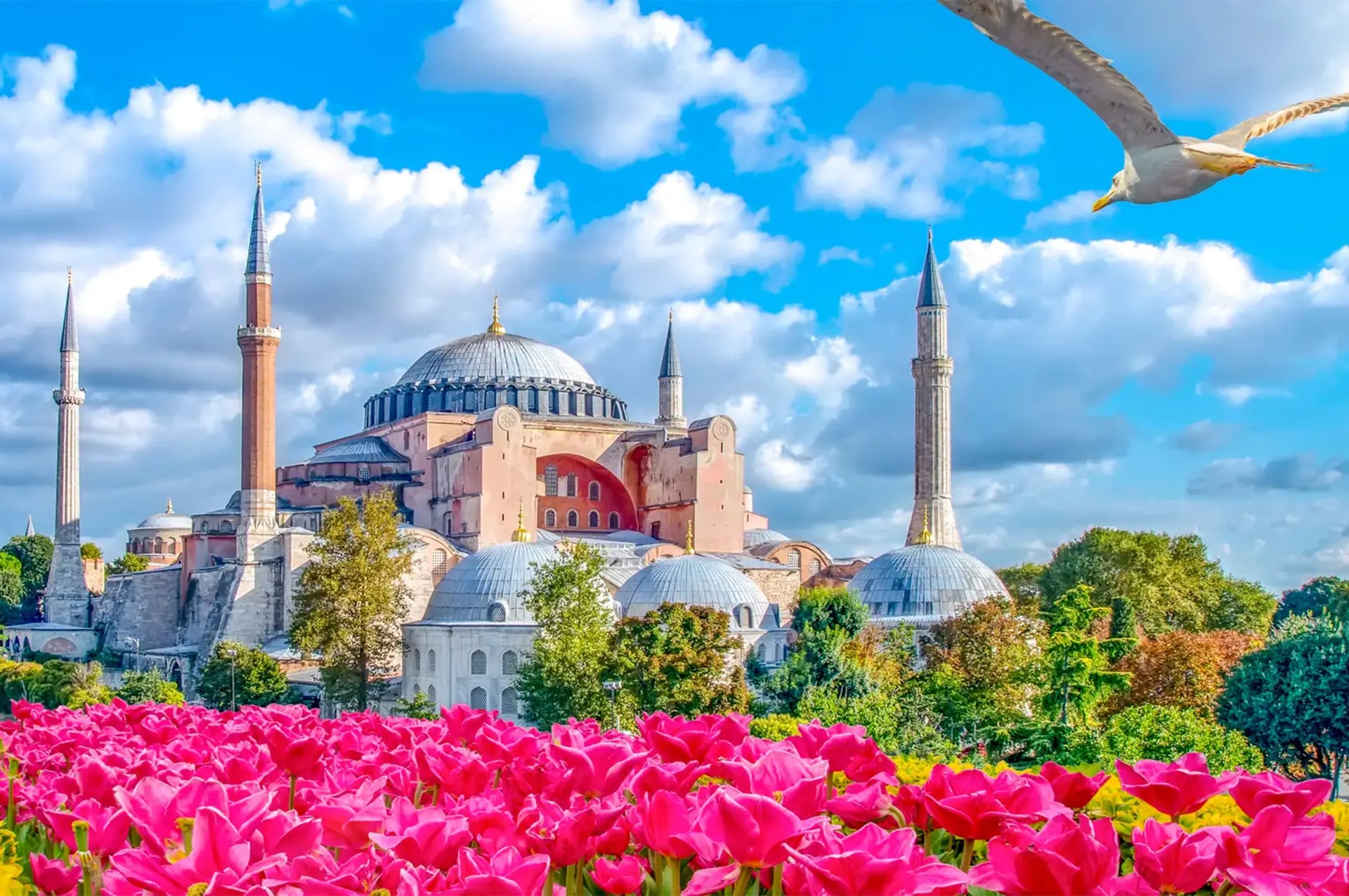 festivals-turkey-01