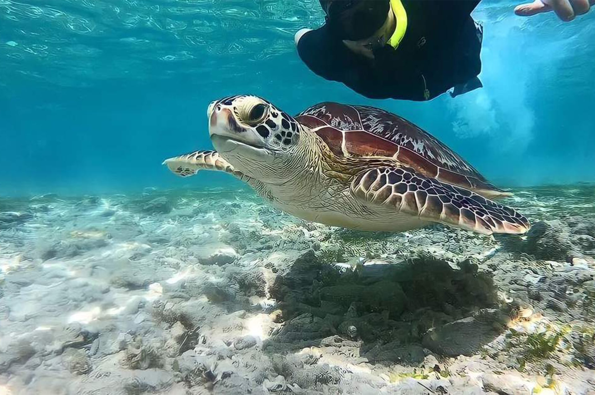 تور اندونزی 38 how-to-go-indonesia-13