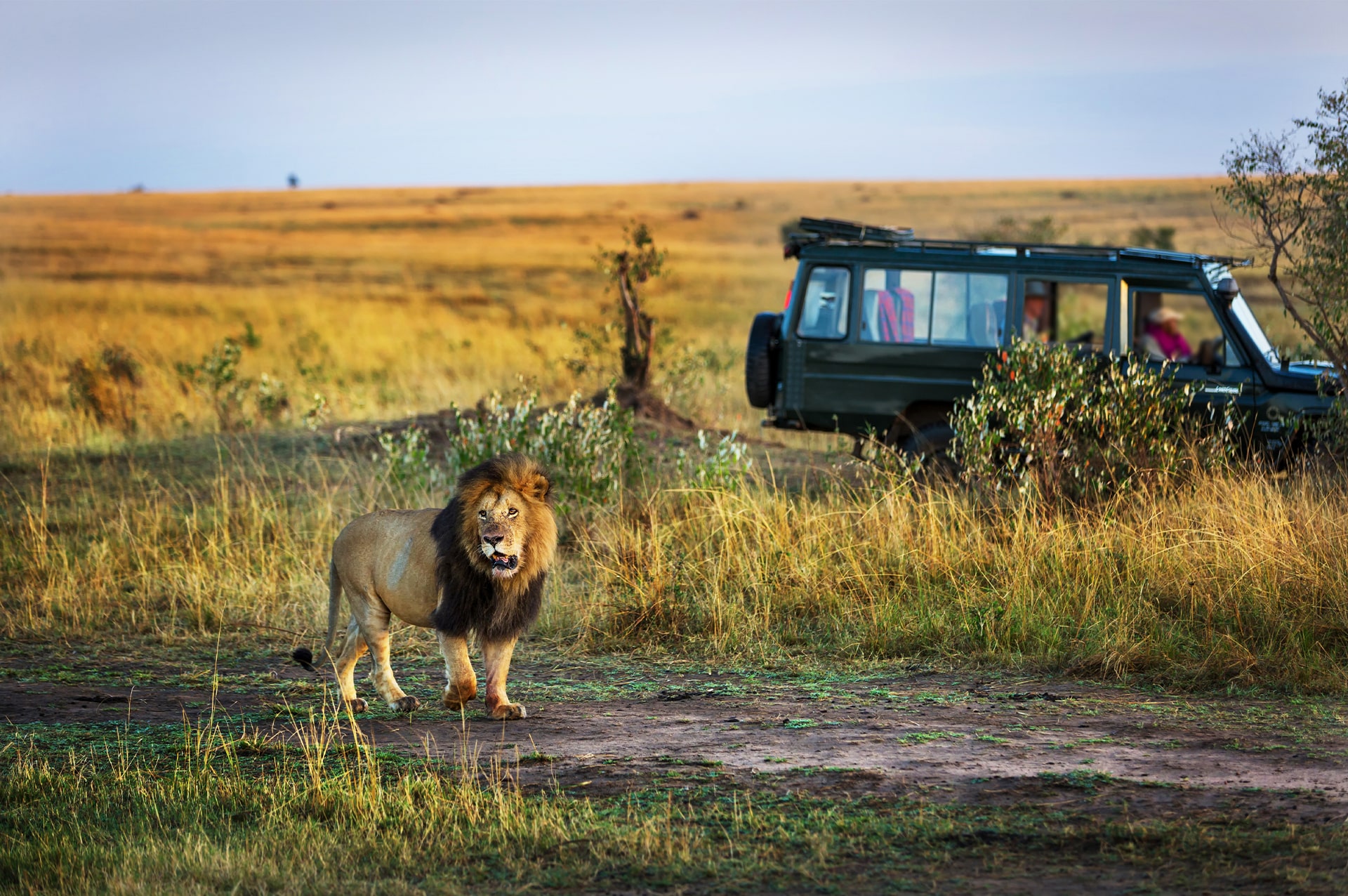 how-to-go-kenya-03