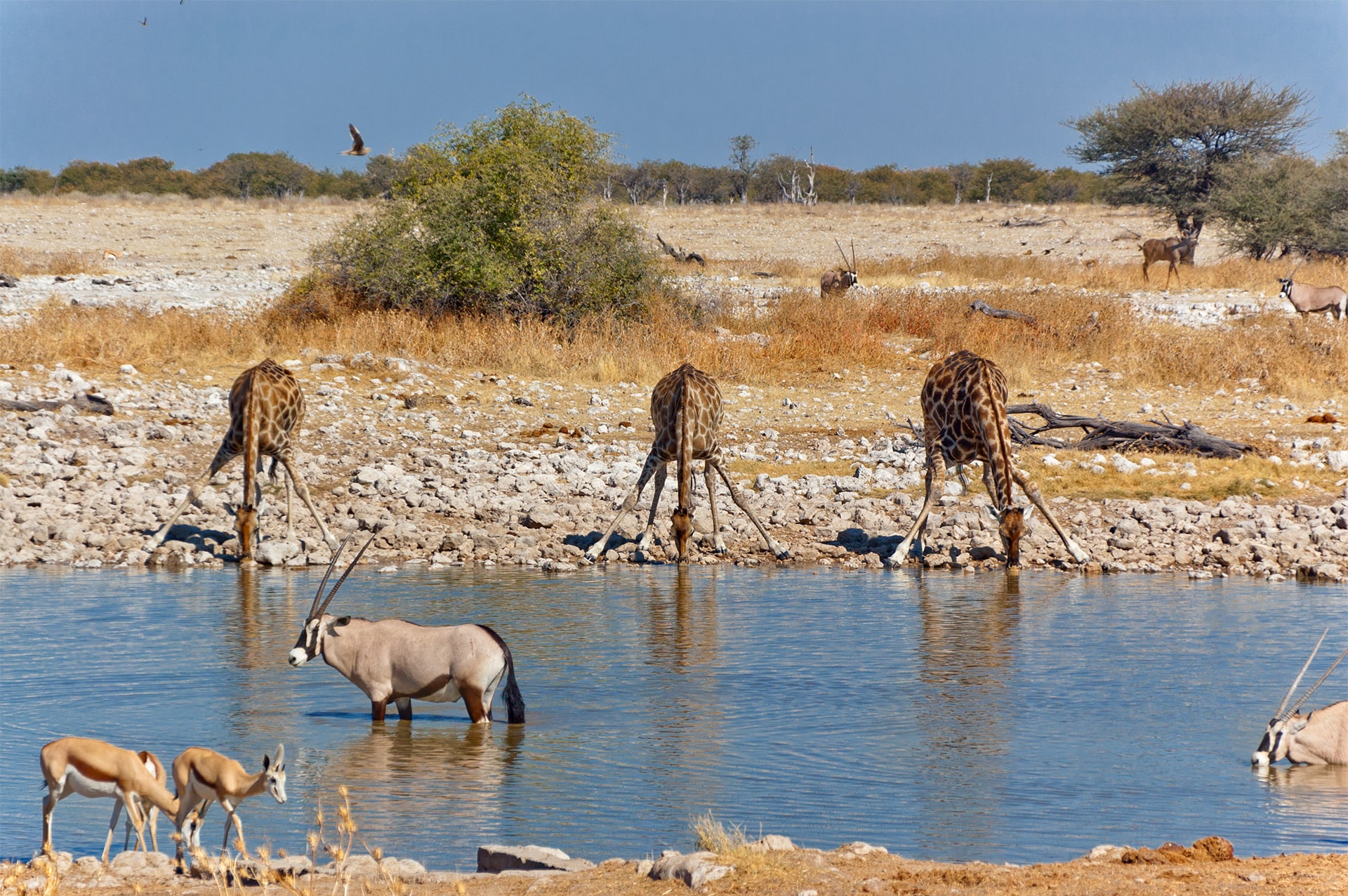 how-to-go-kenya-04
