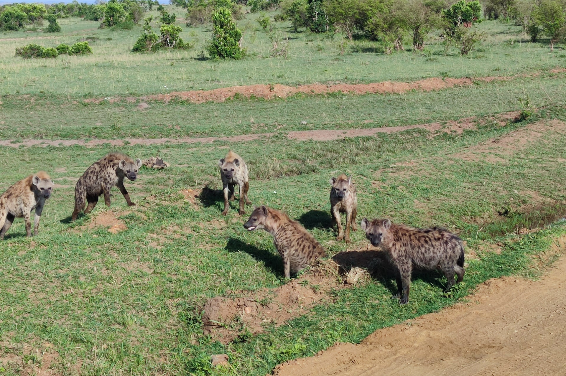 how-to-go-kenya-06