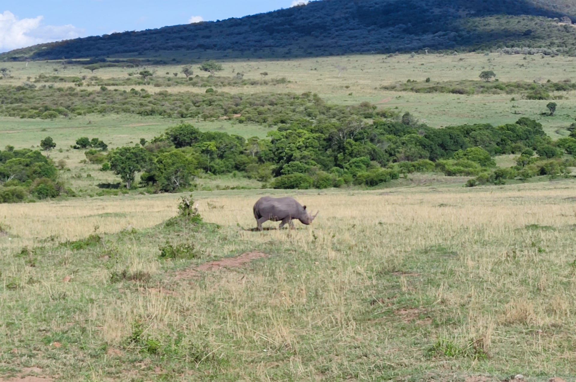 how-to-go-kenya-07
