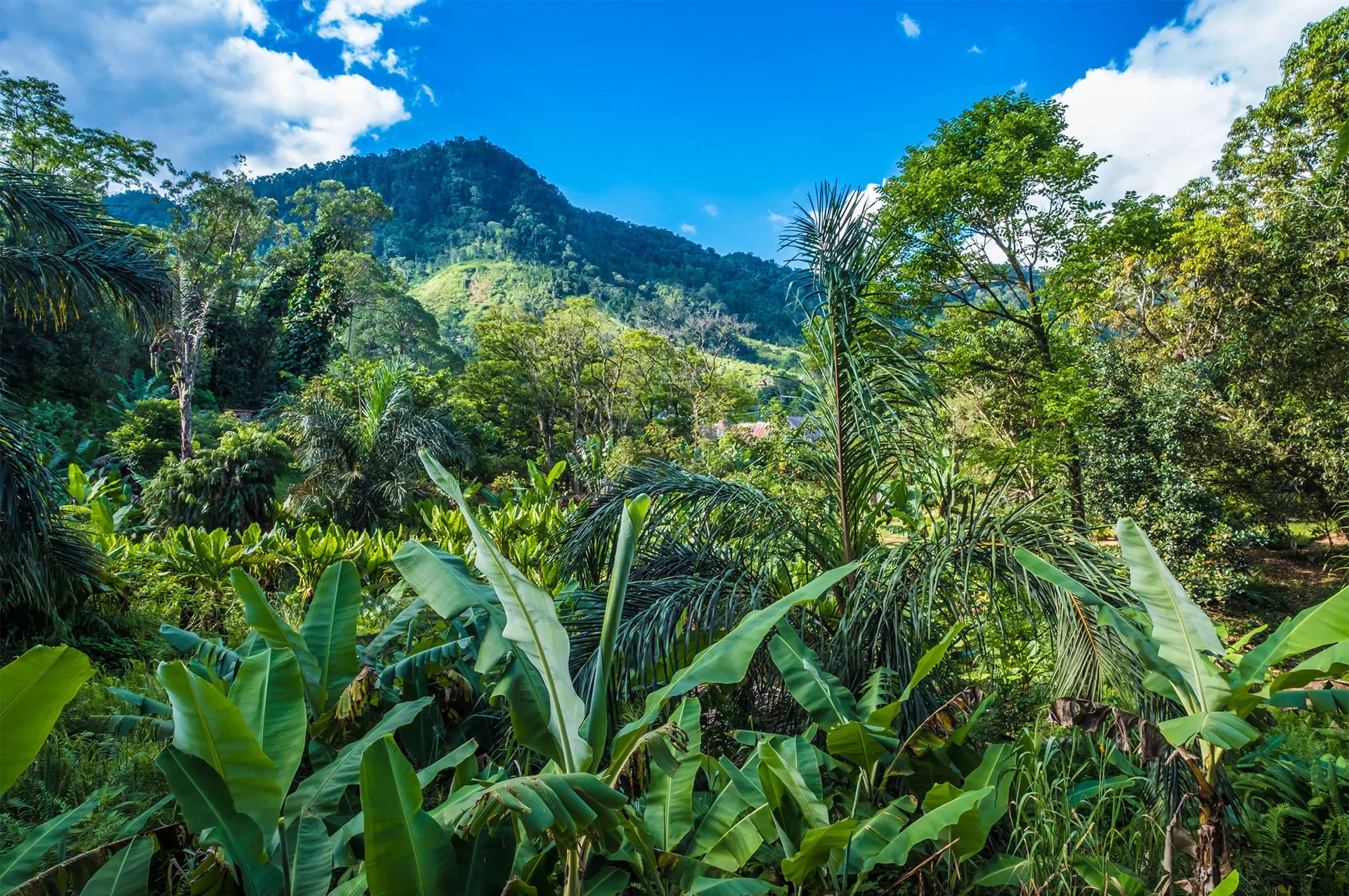 تور ماداگاسکار 23 how-to-go-madagascar-07
