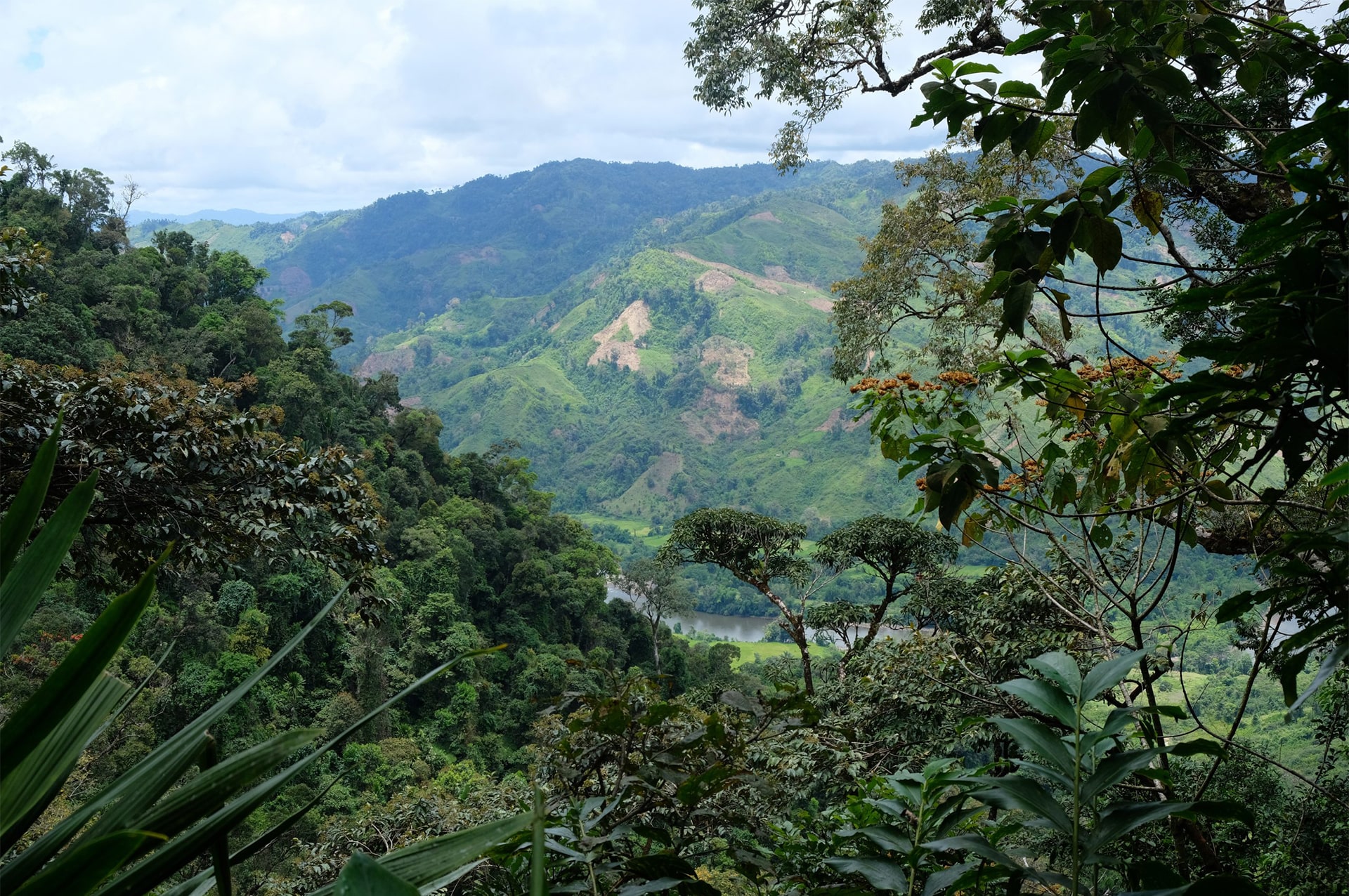 تور ماداگاسکار 24 how-to-go-madagascar-08