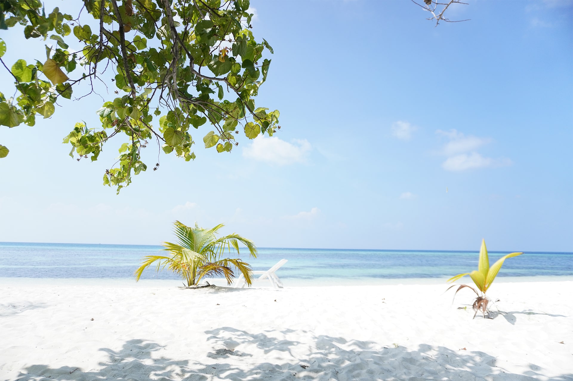how-to-go-maldives-05