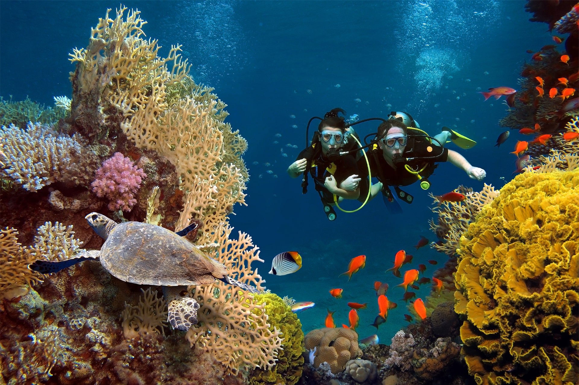 how-to-go-maldives-06